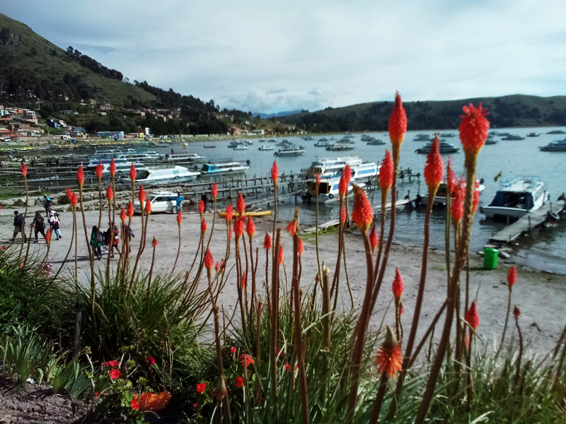 Copacabana, lac Titicaca, Bolivie
