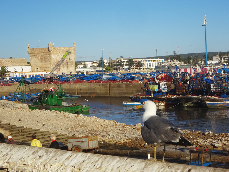 photo du Maroc, Essaouira