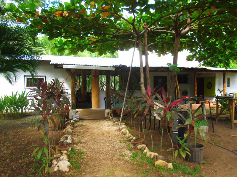 Huacas mangrove