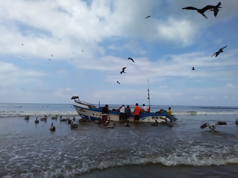 Puerto lopez, Equateur