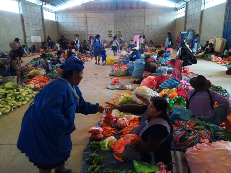 Lac Titicaca, Bolivie